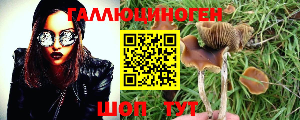 Галлюциногенные грибы мухоморы  Вход с VPN  Михайловка 