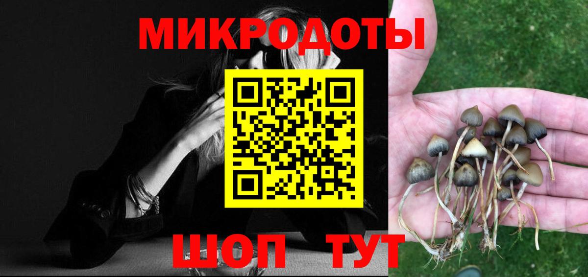 Галлюциногенные грибы Psilocybe Михайловка